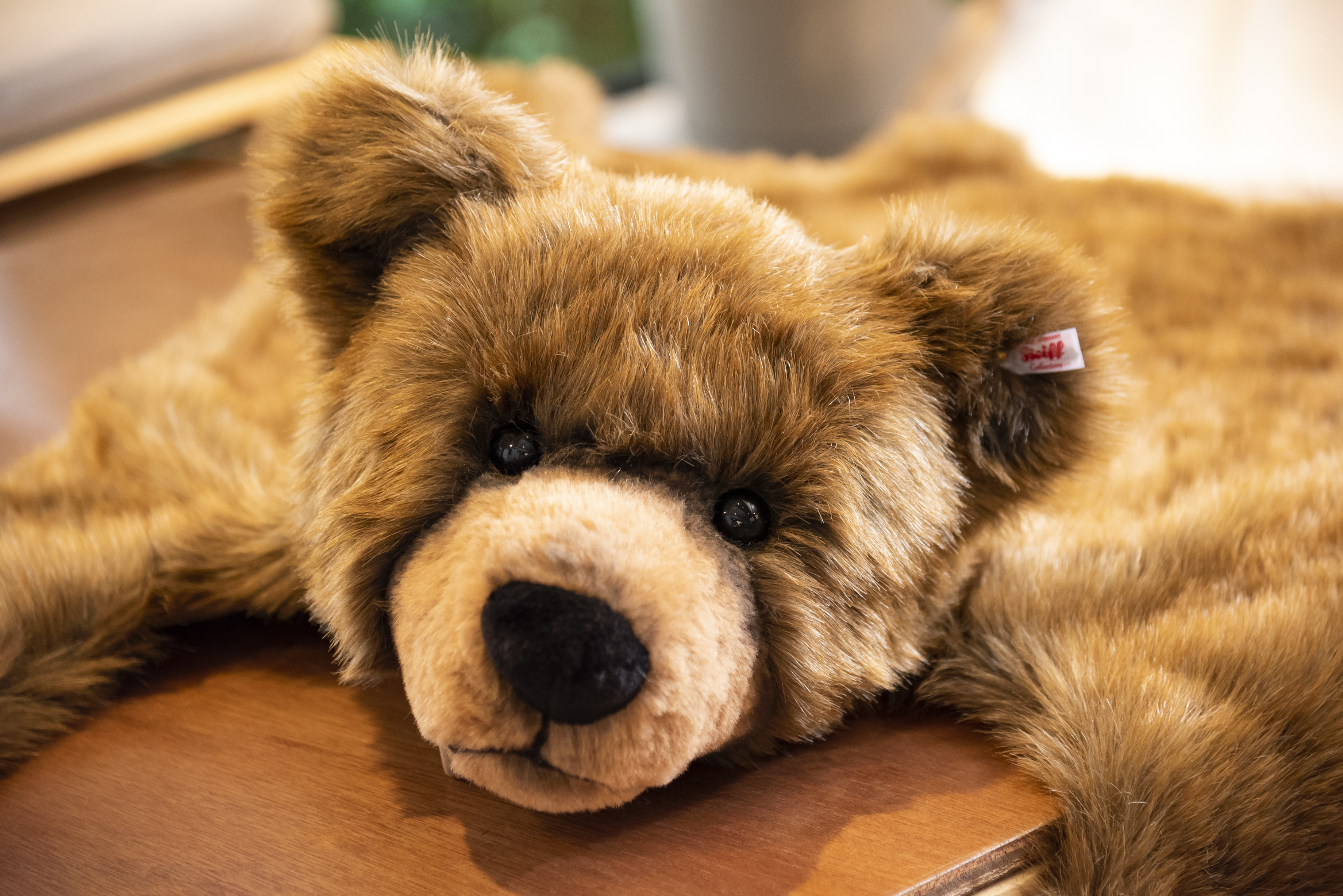 stuffed animal bear rug